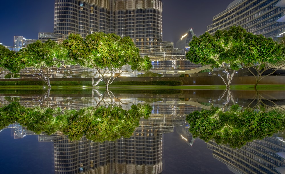 alberi verdi vicino allo specchio d'acqua durante la notte