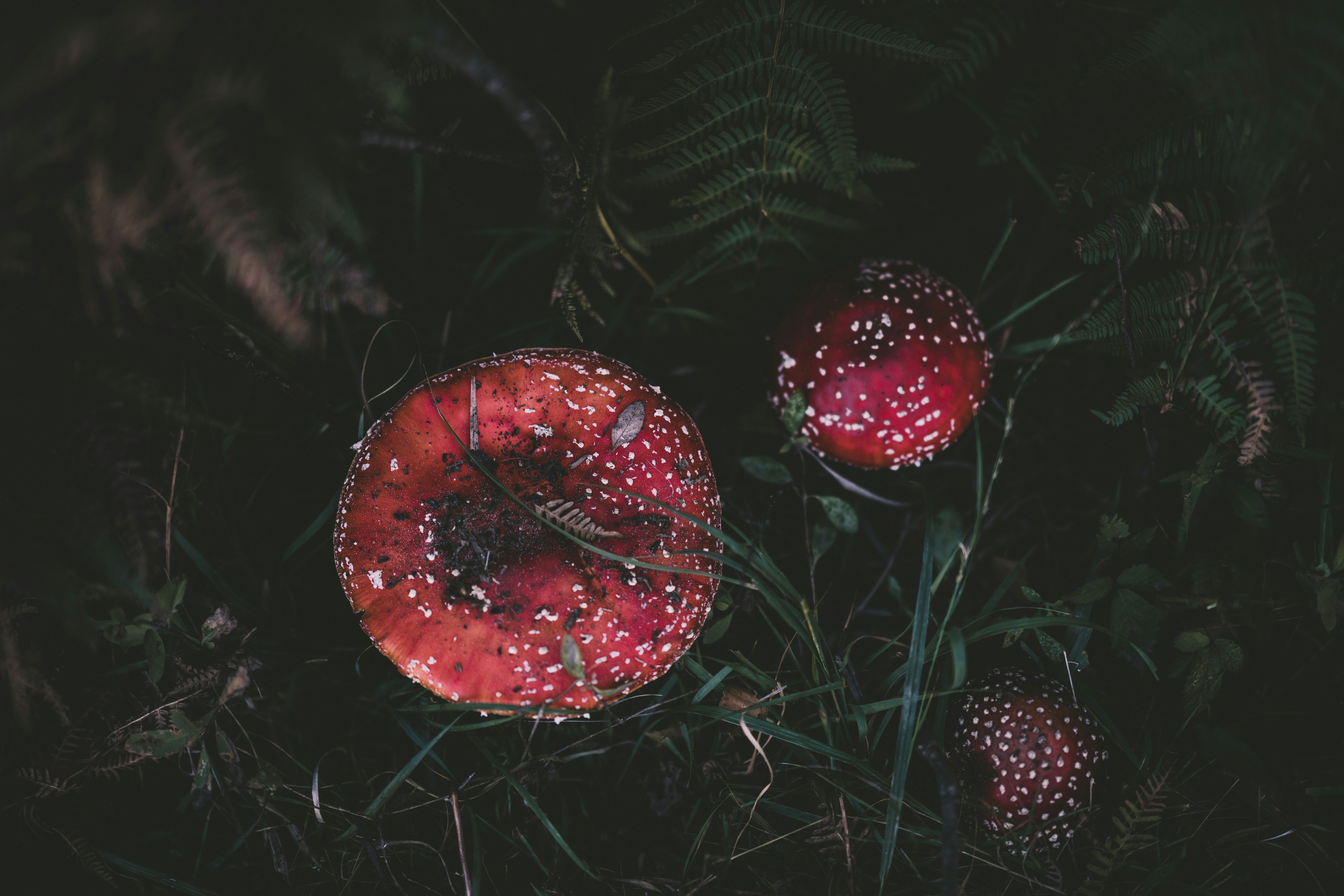 Photo by anniespratt