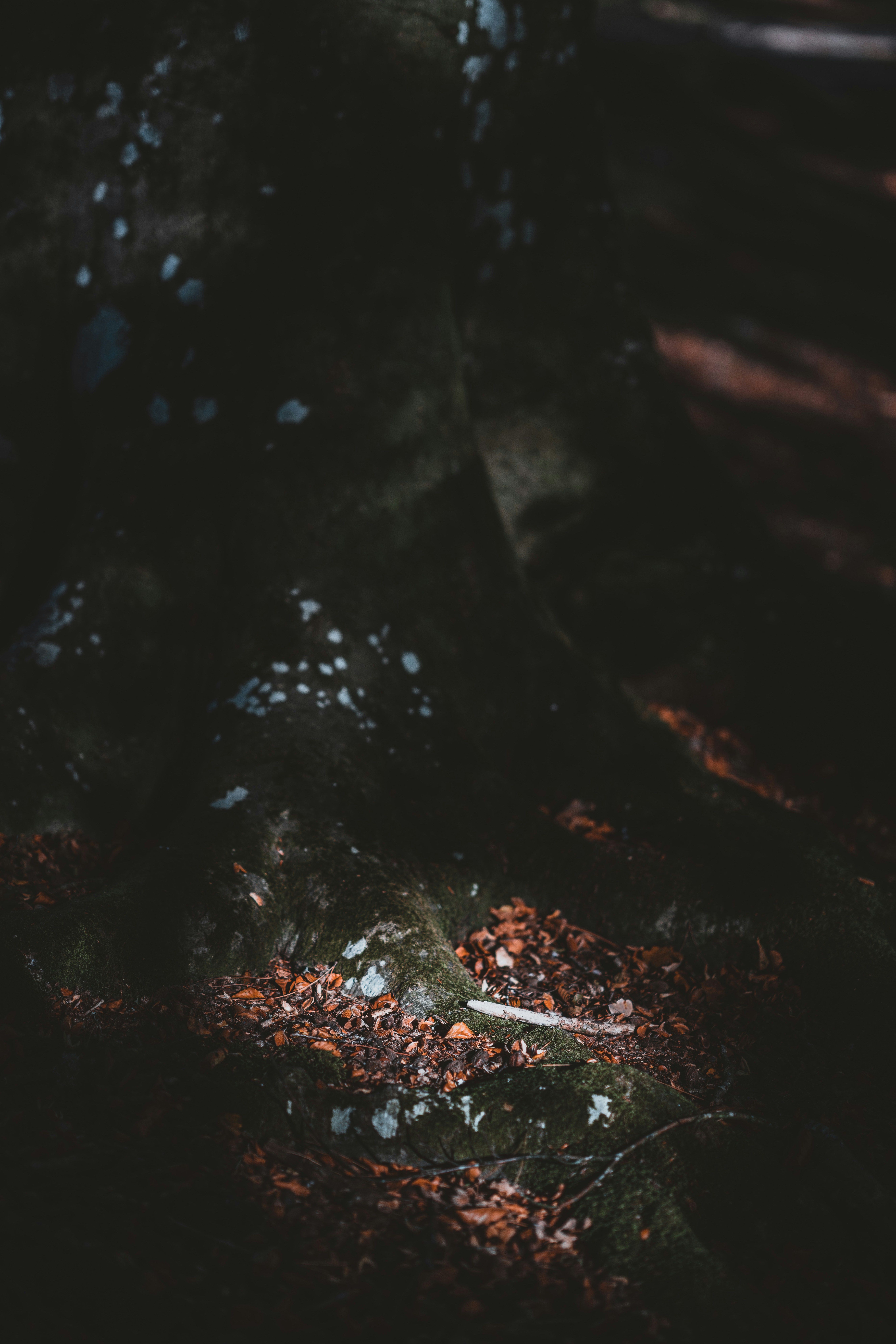 Photo by anniespratt