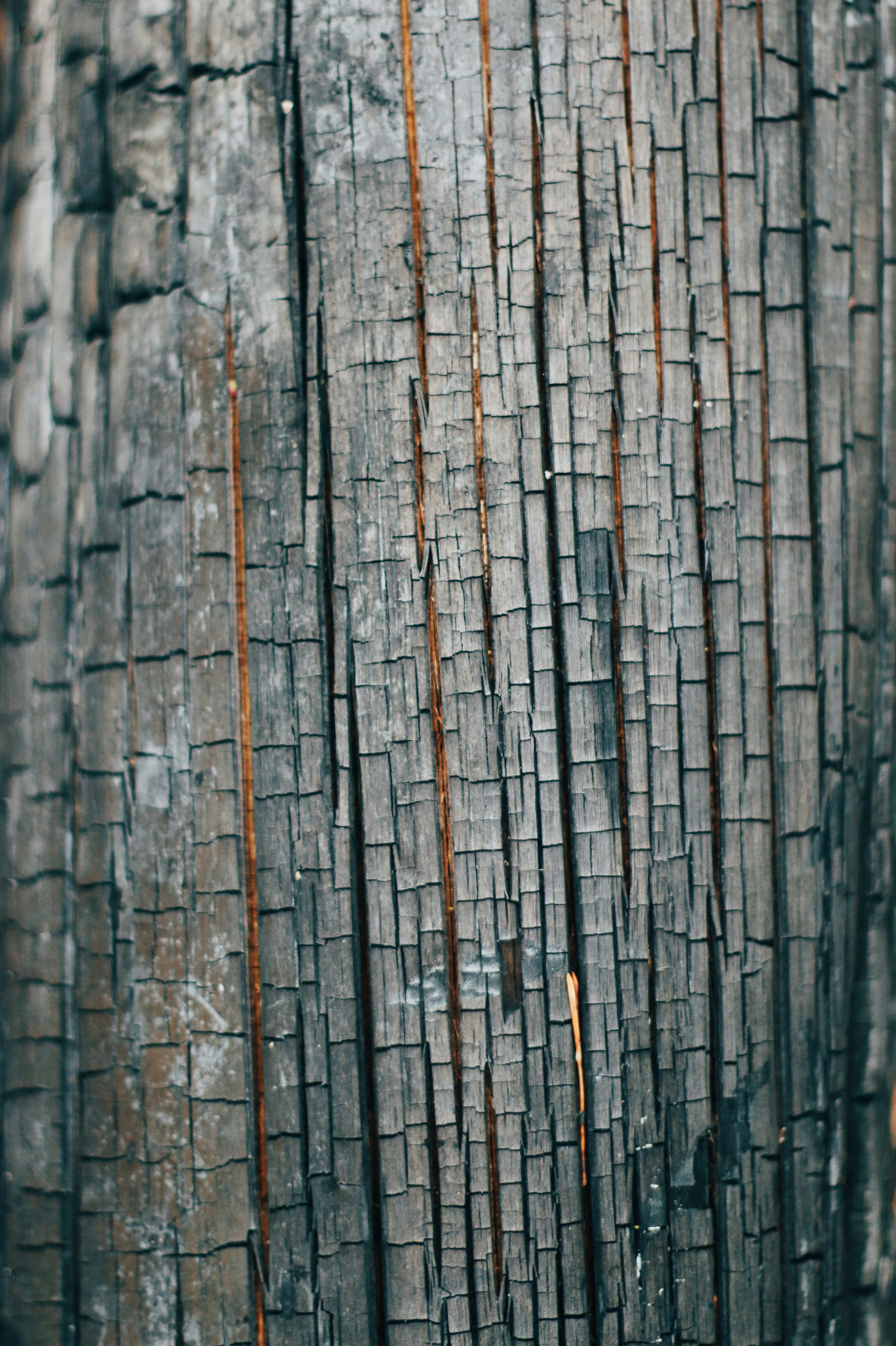 Photo by mollywilders