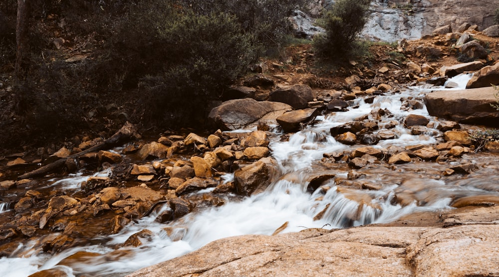 shallow focus photo of body of water