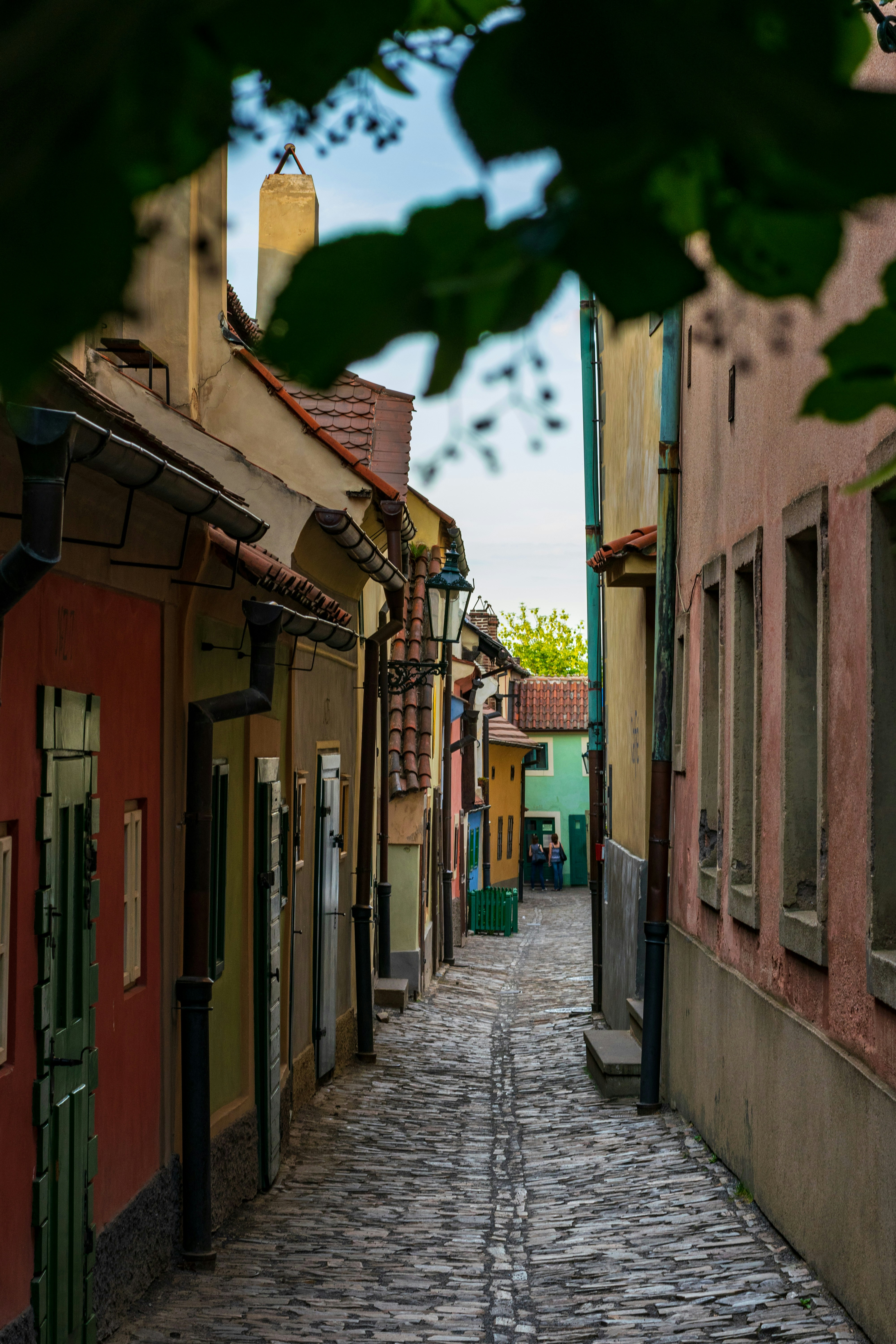 Photo by dmitrypraguephotos