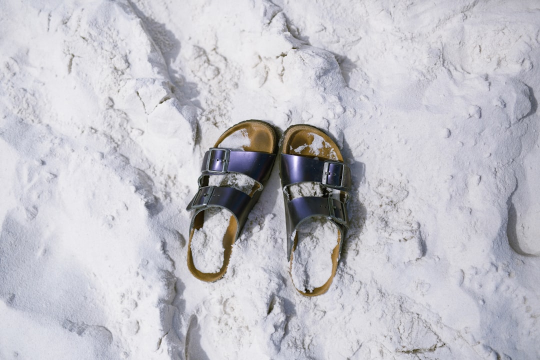 photo of Hyams Beach Adventure near Booderee National Park