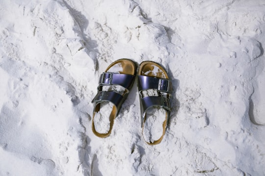 pair of brown-and-black leather slide sandals in Hyams Beach Australia