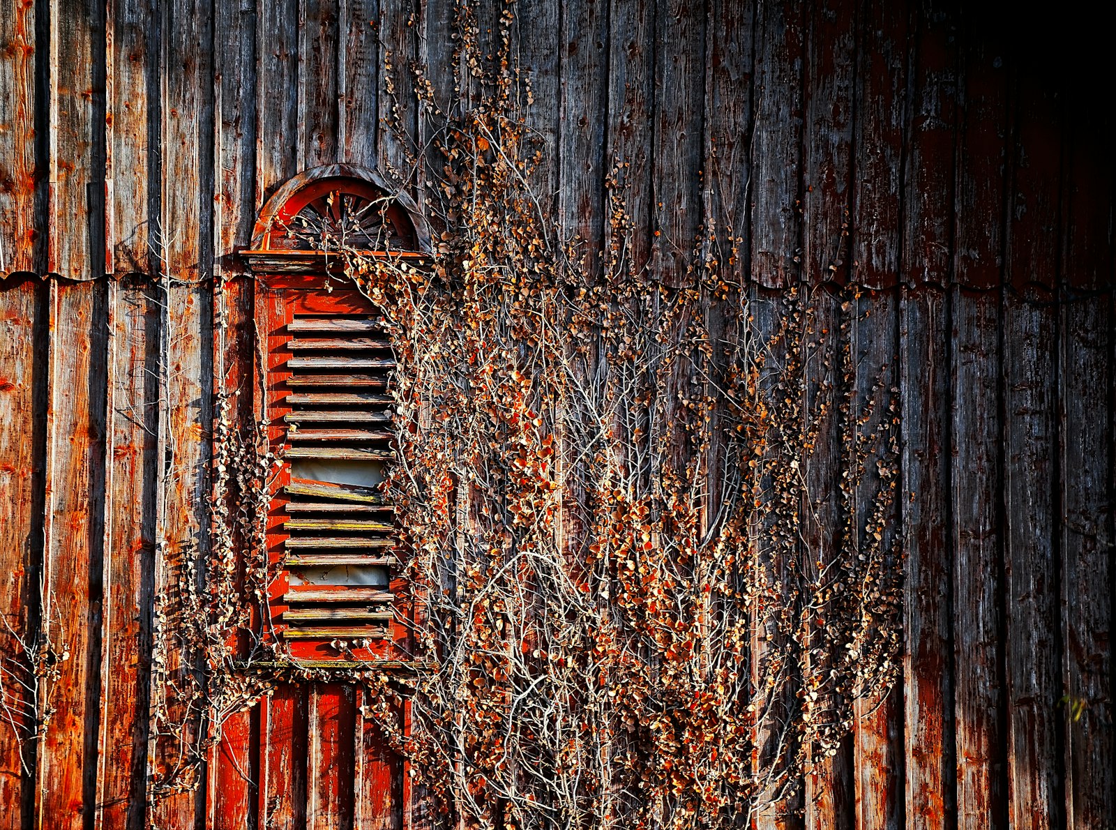 Sony a7 + Sony FE 70-200mm F4 G OSS sample photo. Brown wooden board photography