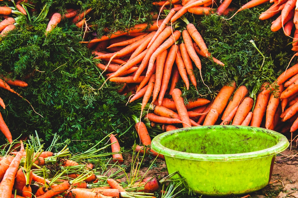 orange carrots with green plastic basin