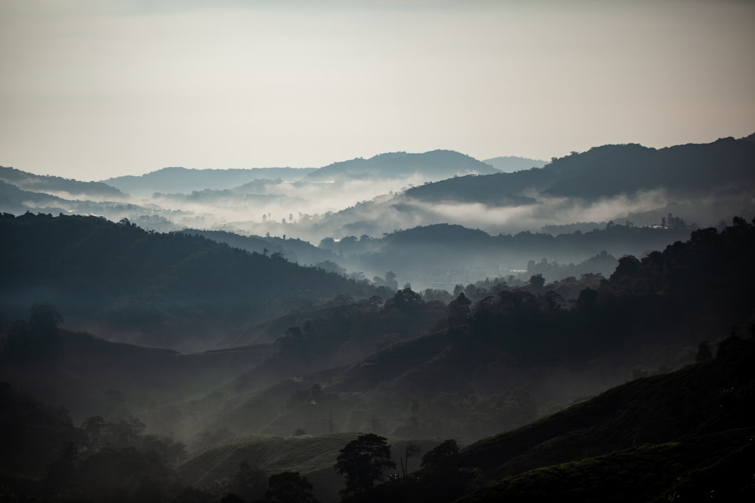 Hill station photo spot Cameron Highlands Perak