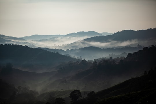 silhouette of mountains under white sky in Cameron Highlands Malaysia