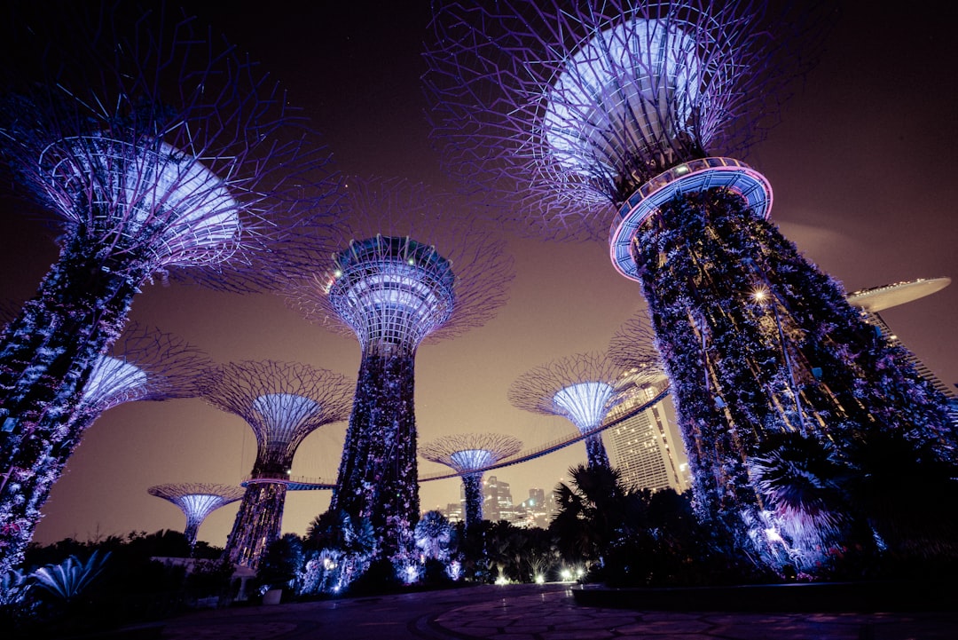 Landmark photo spot Marina Bay Sands Benjamin Sheares Flyover