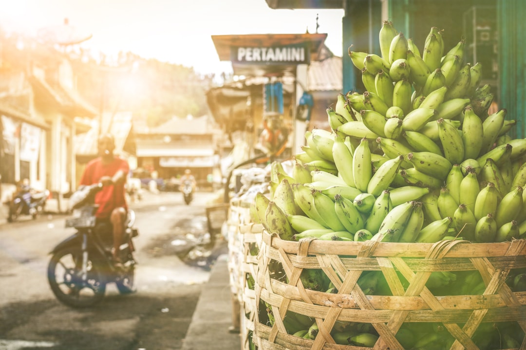 bunch of banana in brown wicker basket