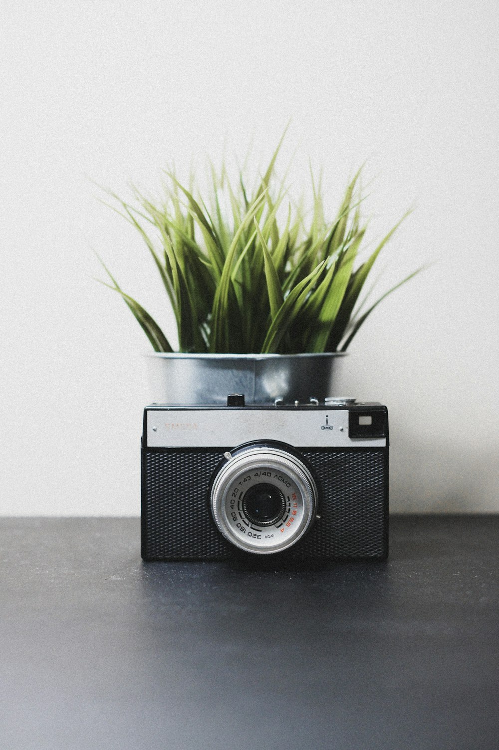 black and gray camera front of green plant