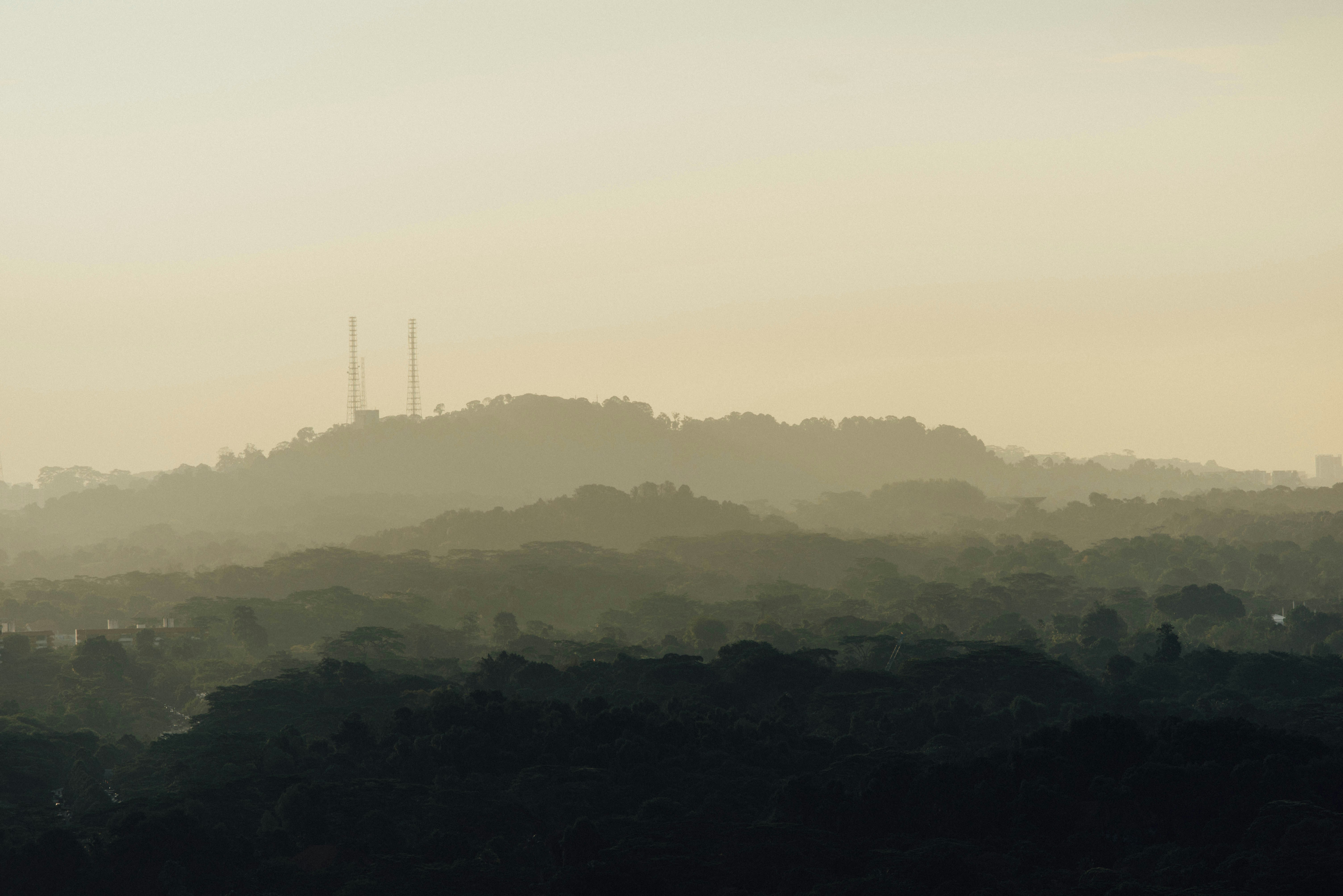 Photo by chuttersnap