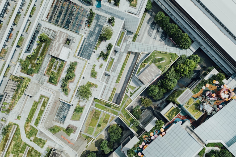 aerial photography of trees in buildings