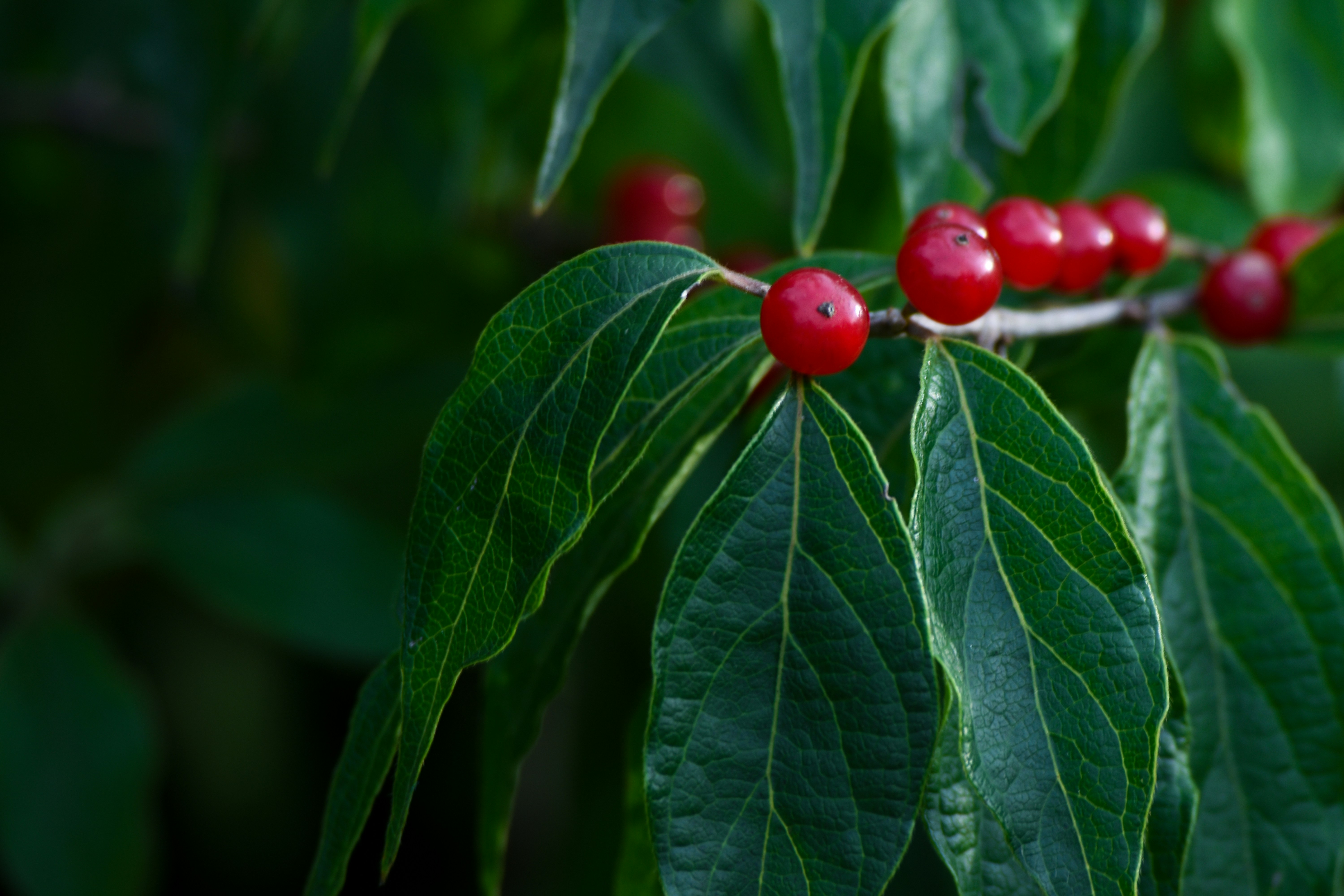 Photo by rockstarrock