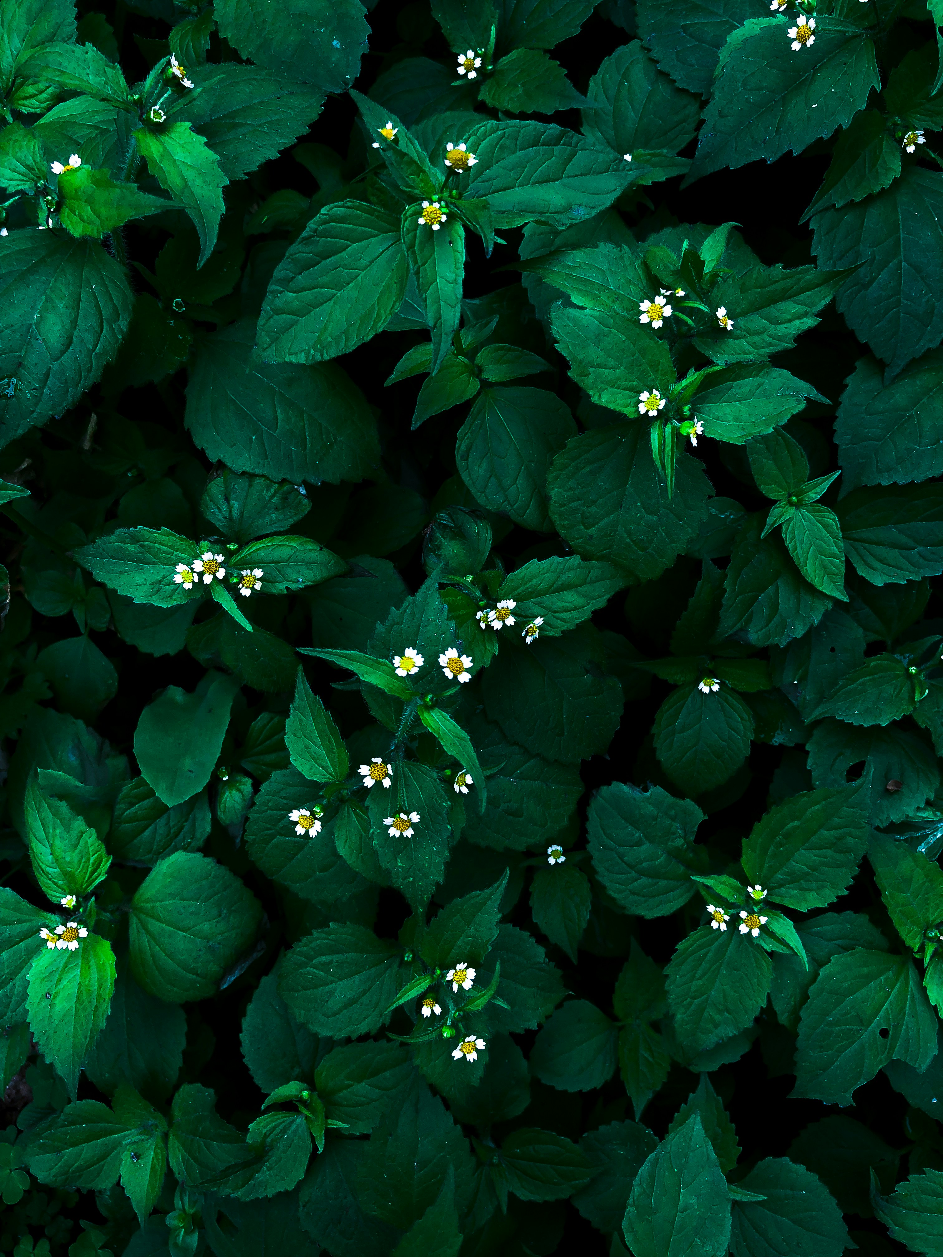 photo-1538844833092-1cb11d28fedf?ixlib=rb-1.2.1&ixid=eyJhcHBfaWQiOjEyMDd9&auto=format&fit=crop&w=975&q=80