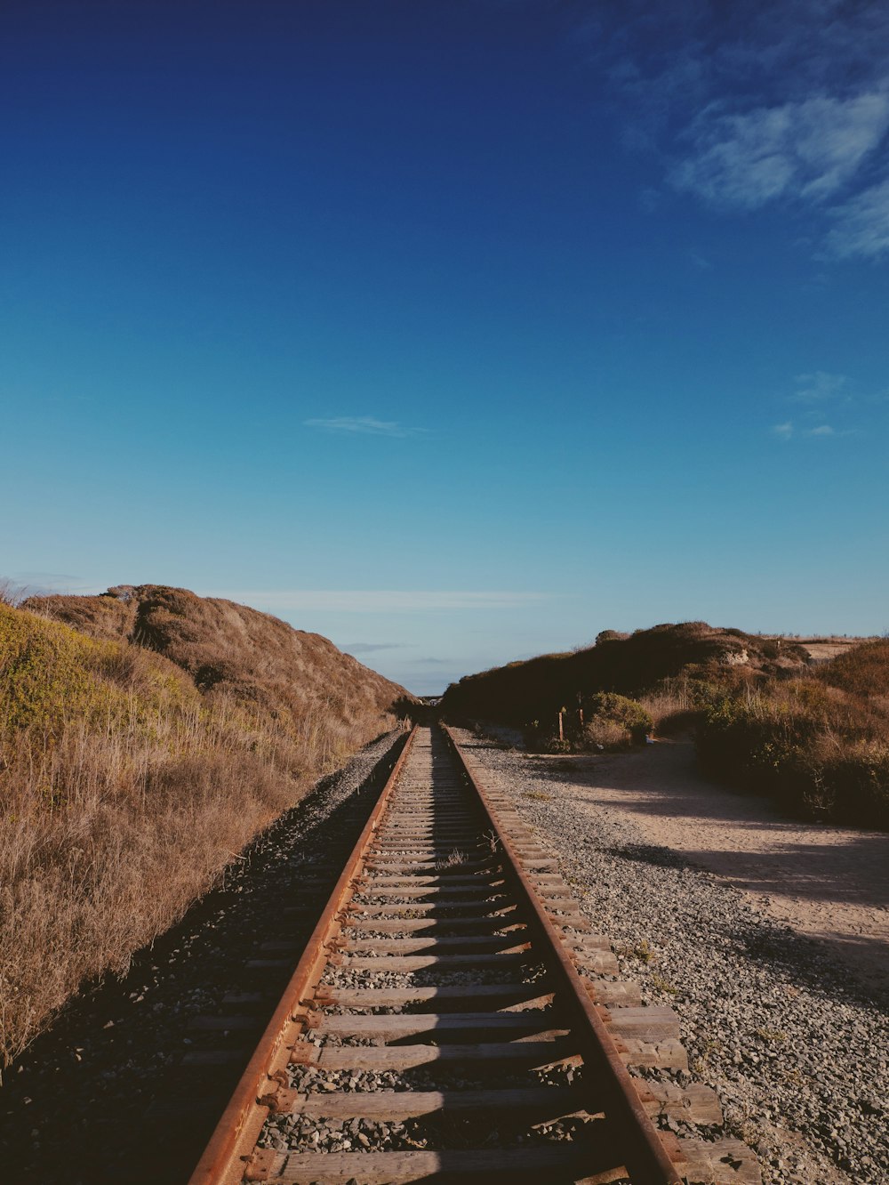 brown train rails