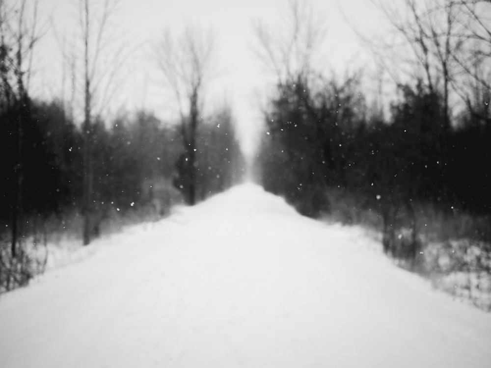 a black and white photo of a snowy road