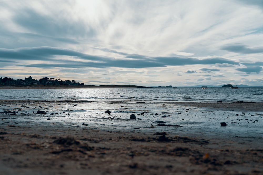 seashore during daytime