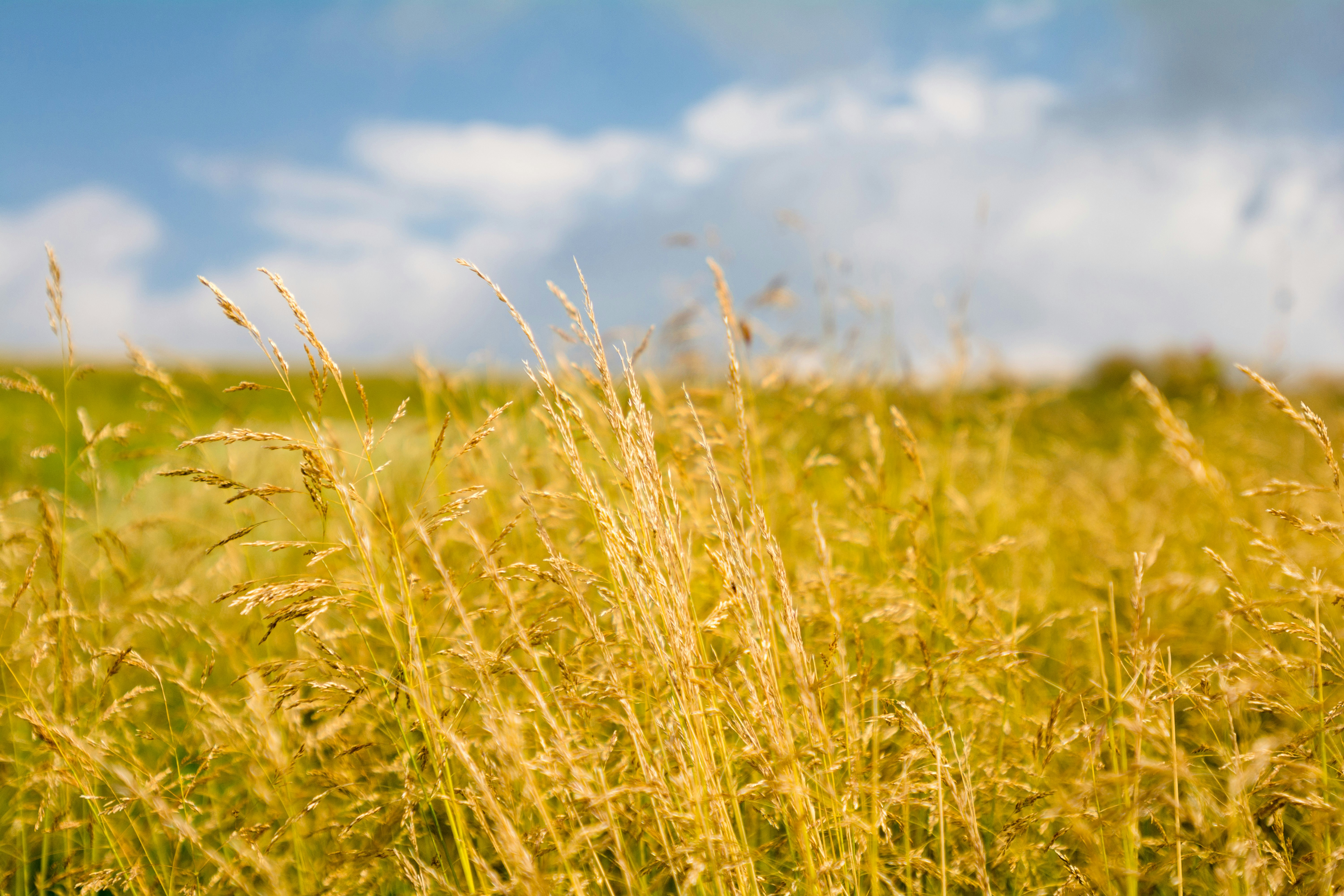 Photo by michelbosma