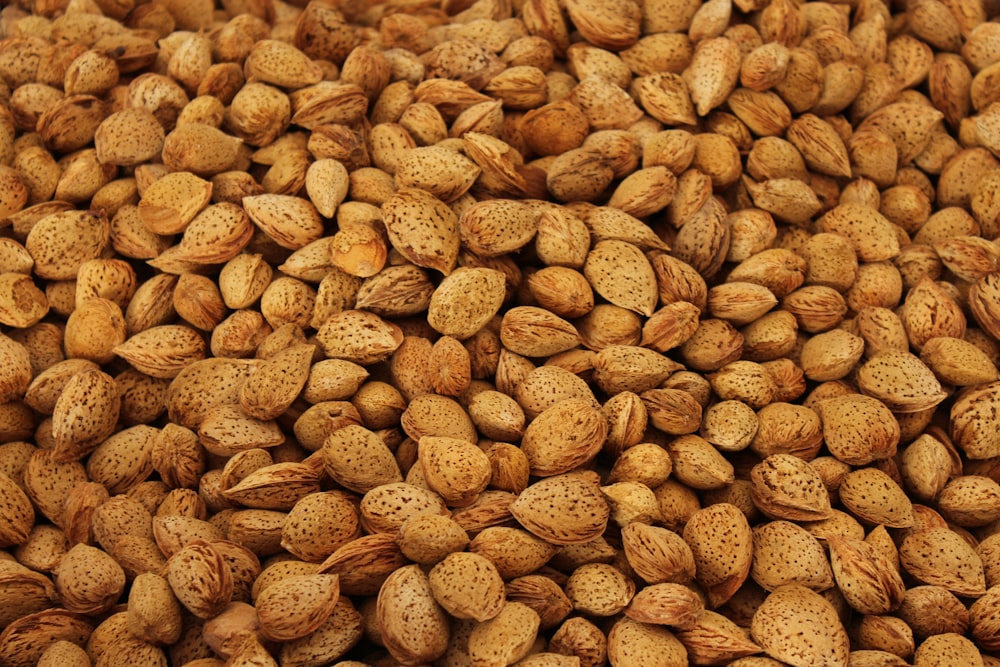 pecan nut lot