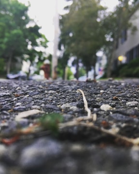 A close-up of an asphalt road with small pebbles and a few dried twigs or leaves scattered across the surface. The background is out of focus, showing a street setting with blurry outlines of trees and a building. A fire hydrant is slightly visible in the distance.