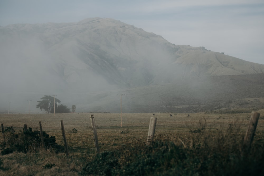 a field with a fence and a mountain in the background