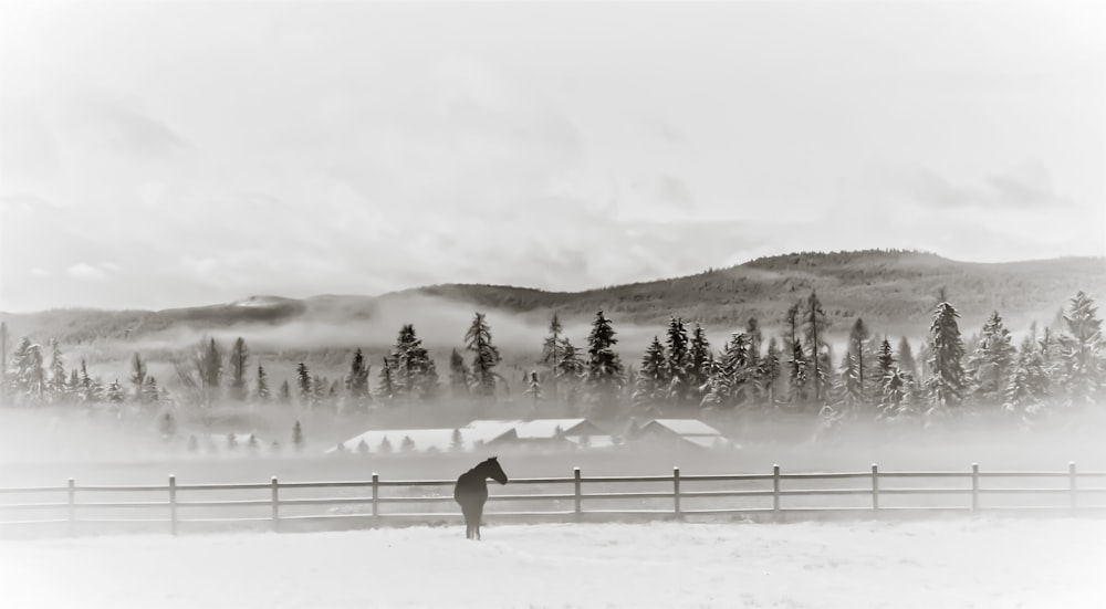 a person standing in the snow near a fence