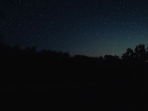 A serene night sky filled with shimmering stars over a peaceful landscape