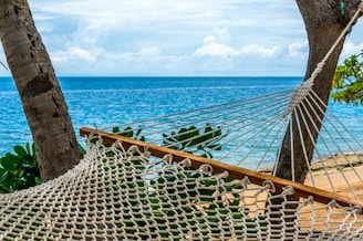 white hammock tied on tree