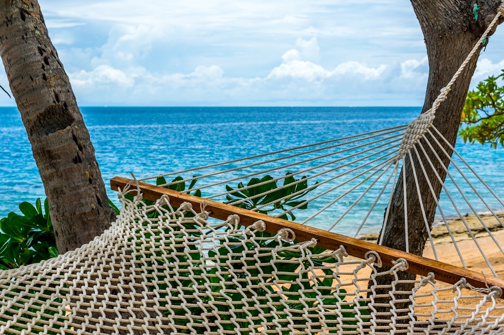 white hammock tied on tree