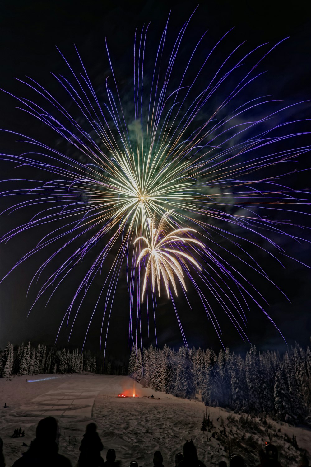 firework during nighttime