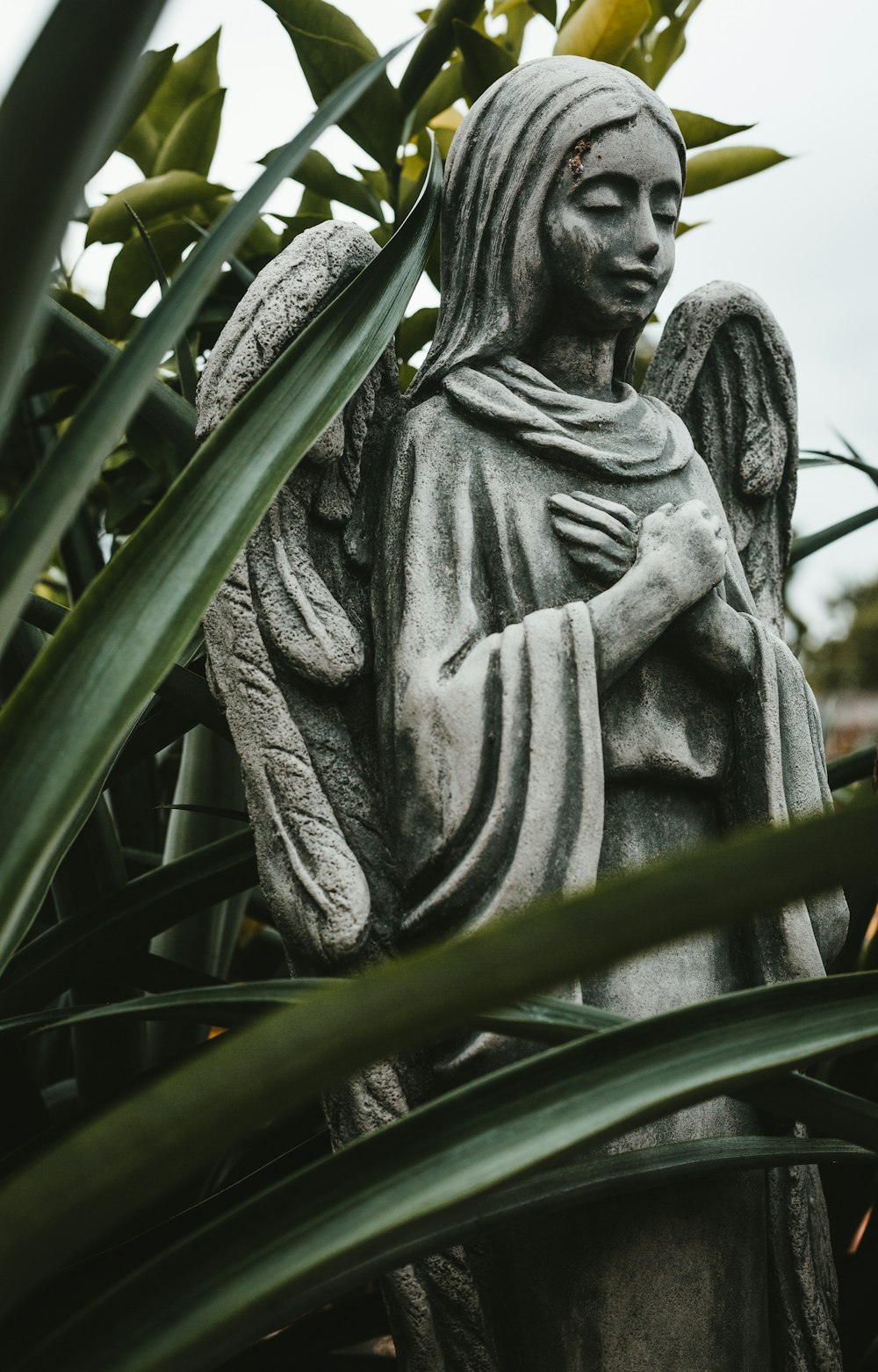 selective focus photography of gray angel statue