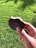 A hand holding a partially eaten chocolate-covered biscuit, with a lush green grassy background illuminated by sunlight.