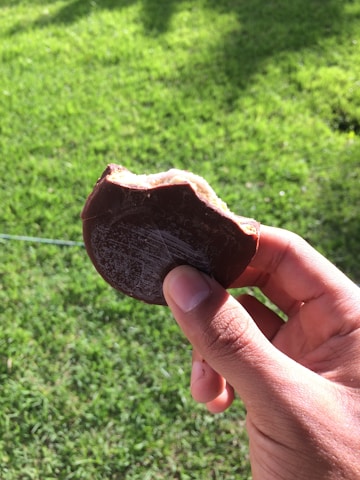 A hand holding a partially eaten chocolate-covered biscuit, with a lush green grassy background illuminated by sunlight.