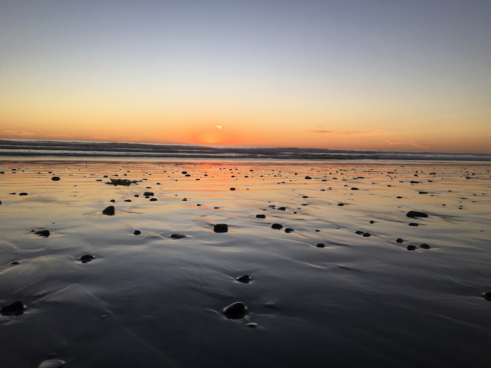 seashores during golden hour view