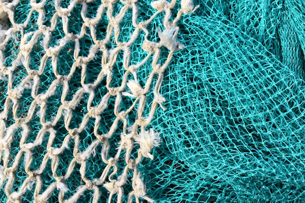 white and blue net