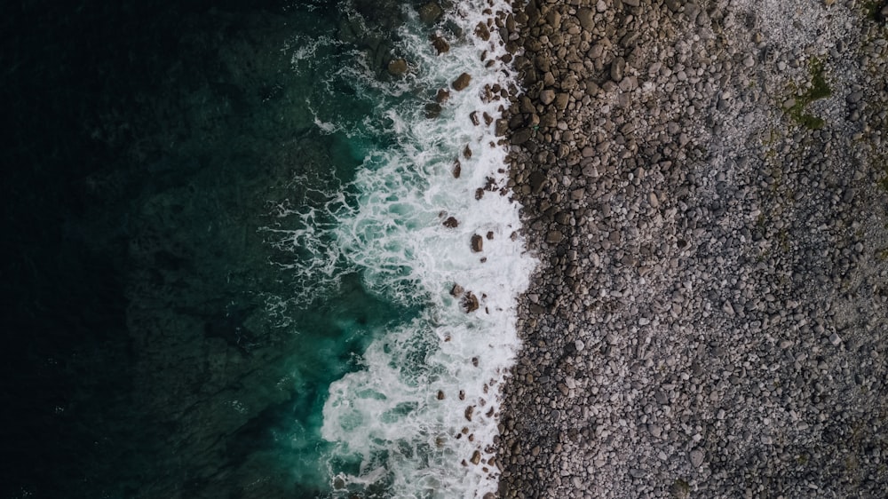 aerial photography of beach