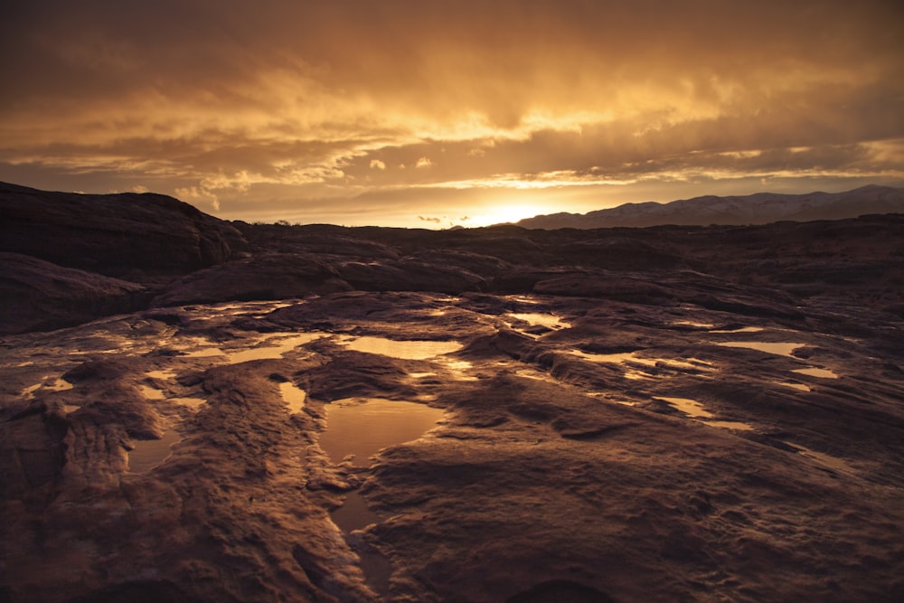 marshland landscape photo