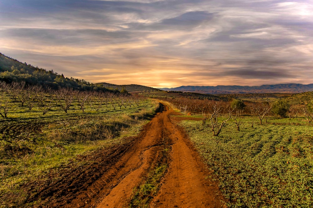 empty farm road under gray sky