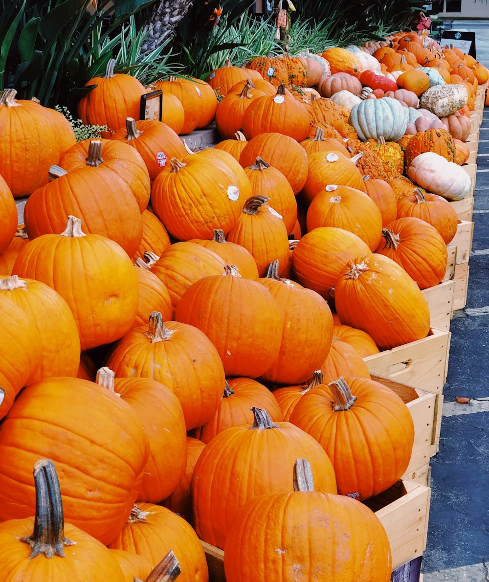 pumpkin lot on crate