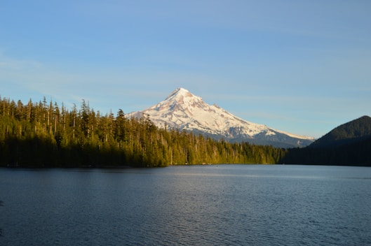 forest trees beside body of water near mountain