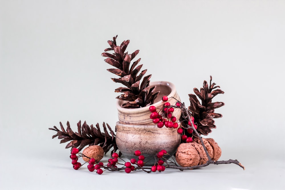 acorns and red berries