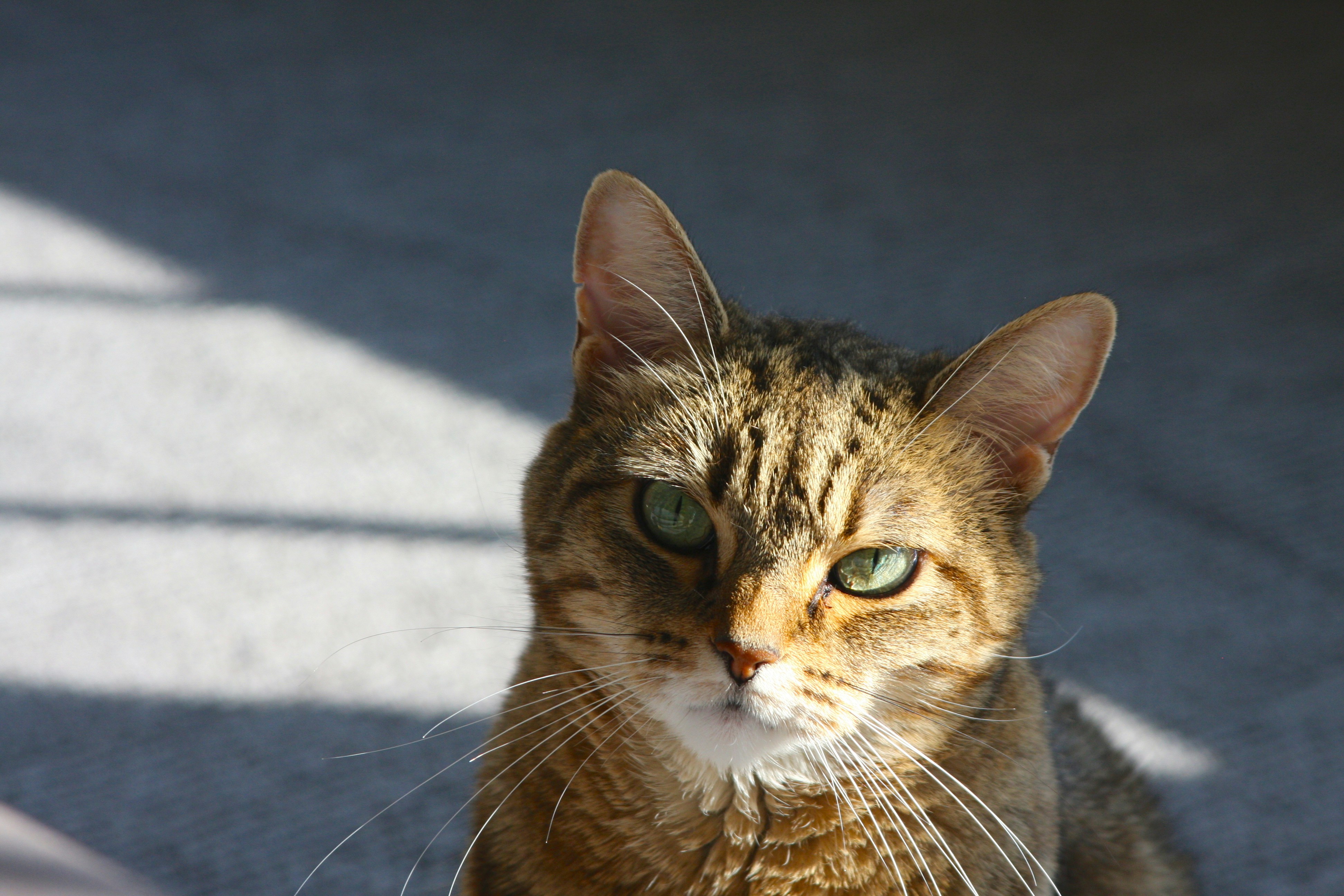 Photo by melanie_kreutz