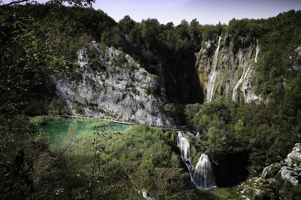 landscape photo of forest and river