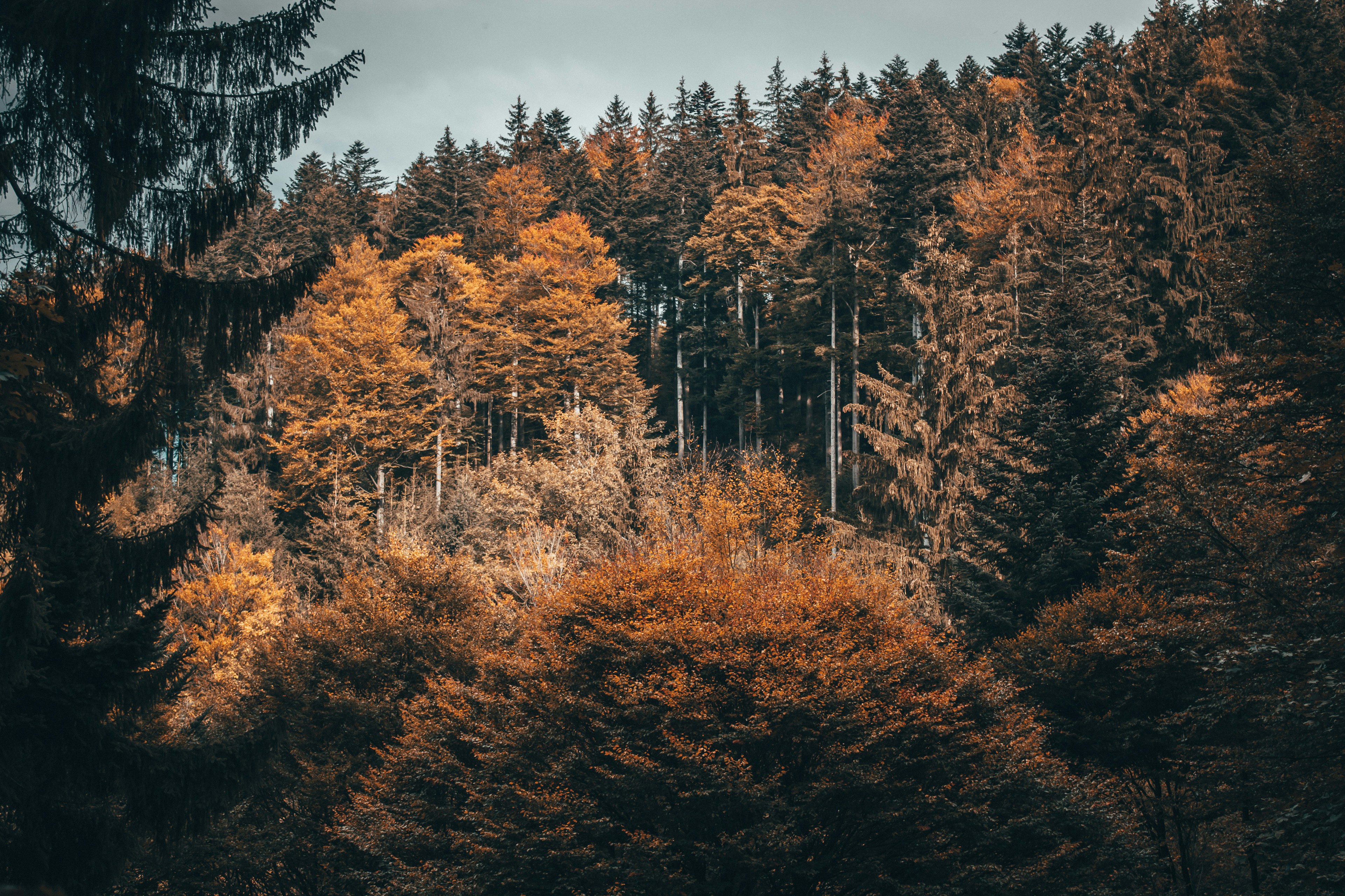 Photo by kevinoetiker