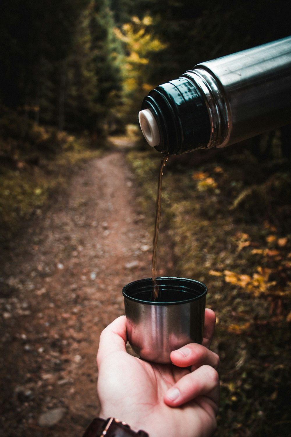 person holding silver vacuum flask