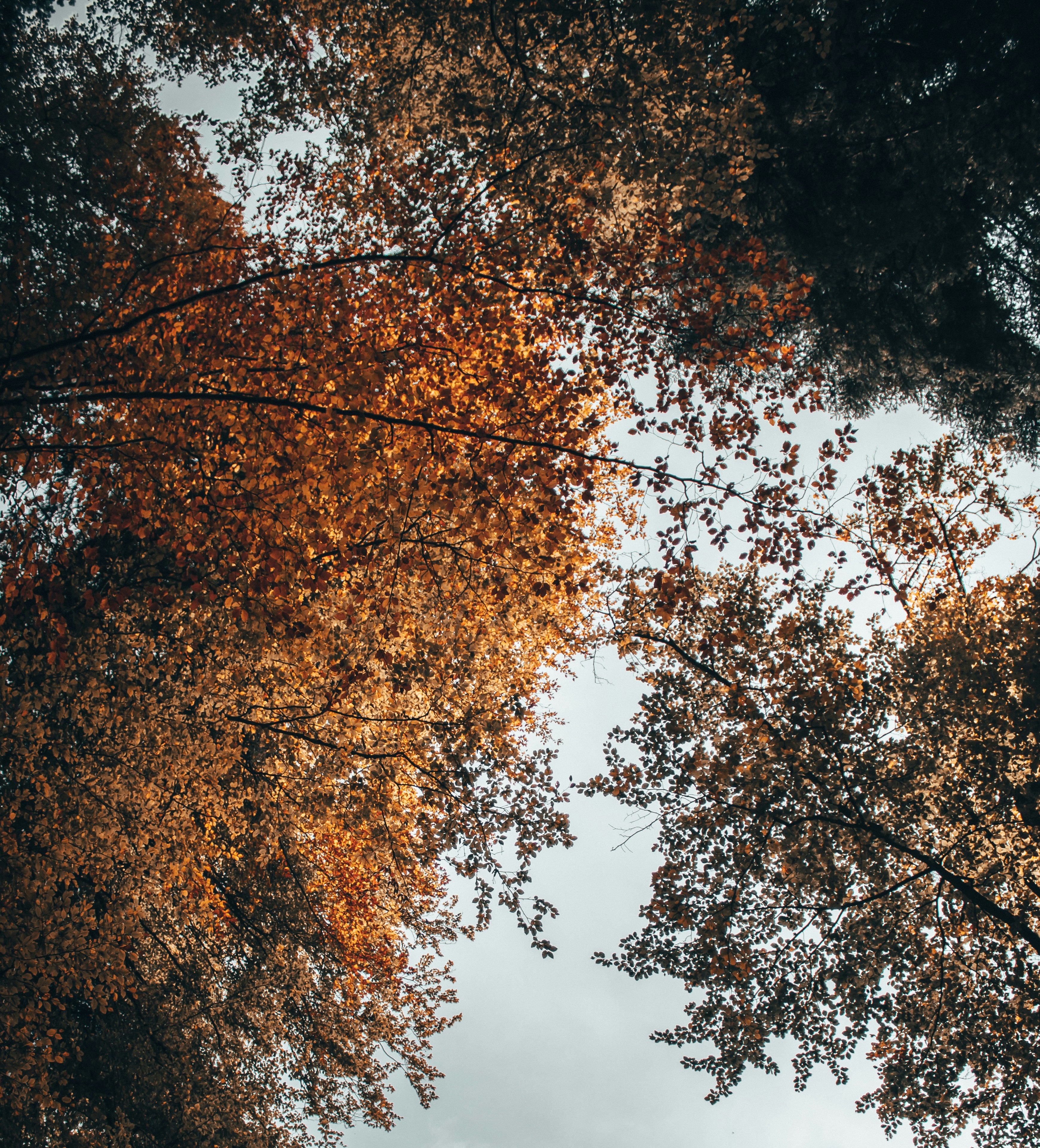 Photo by kevinoetiker