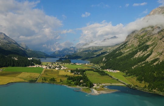 aerial photography of green mountain and blue body of water in Silvaplana Switzerland