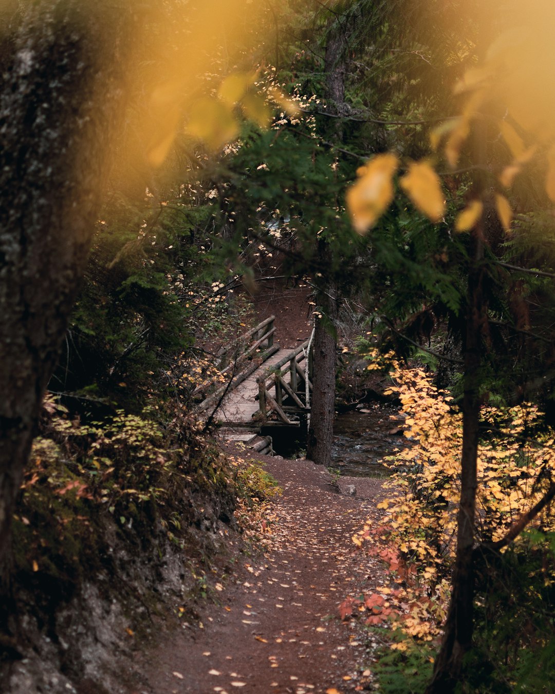 photo of brown bridge