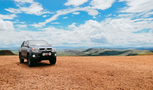 Truck stopped at a scenic overlook under a clear blue sky.